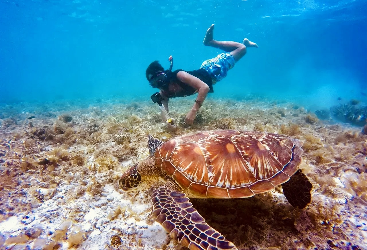 Sharm El Naga
