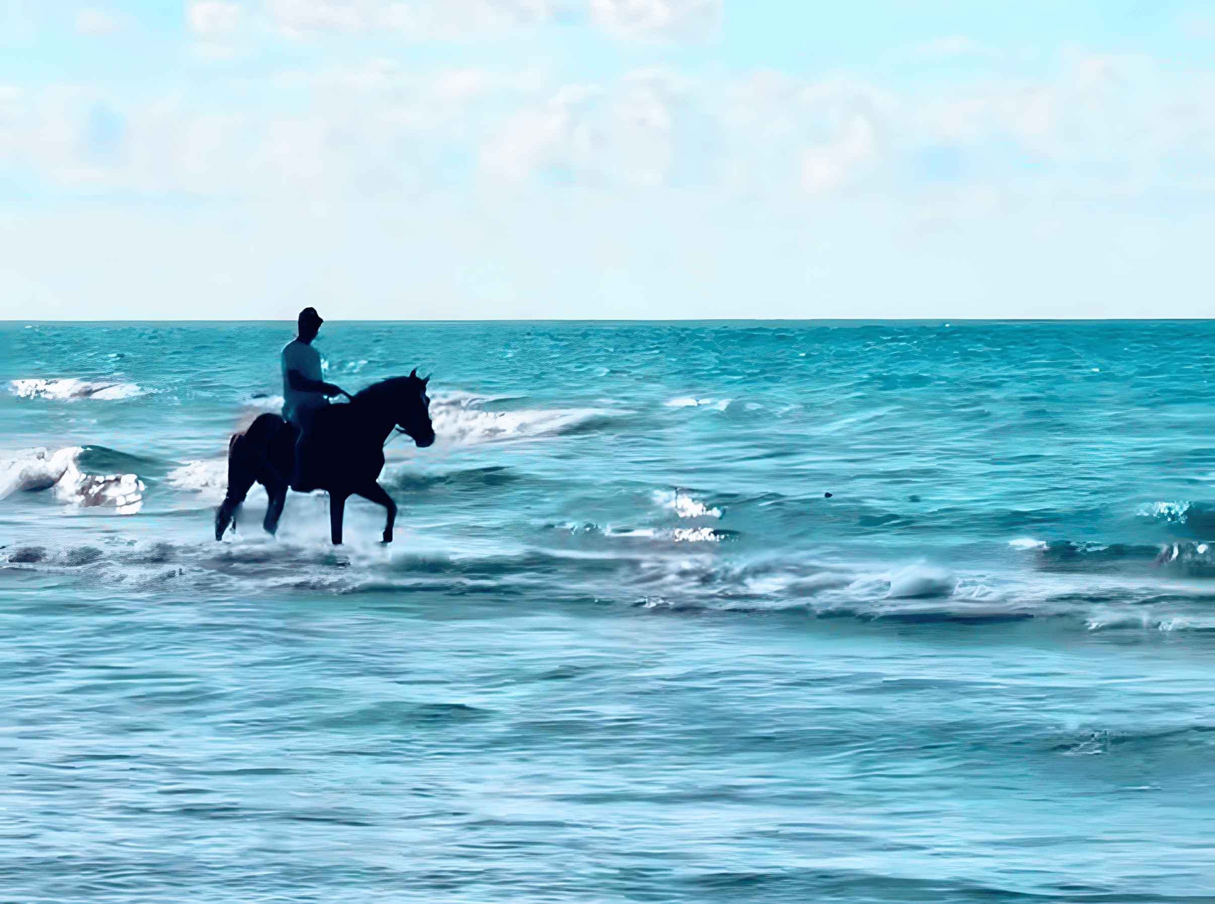 Sea Horseback Riding
