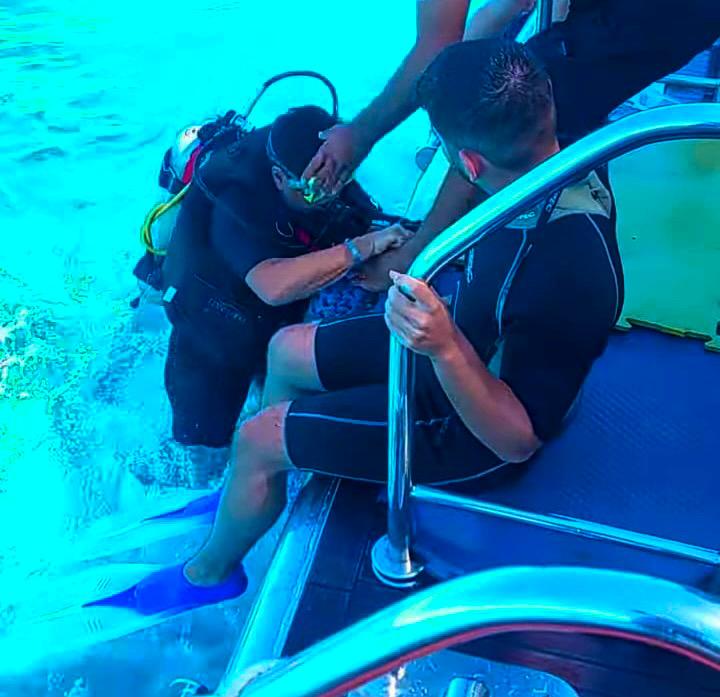 Double Diving in the Red Sea