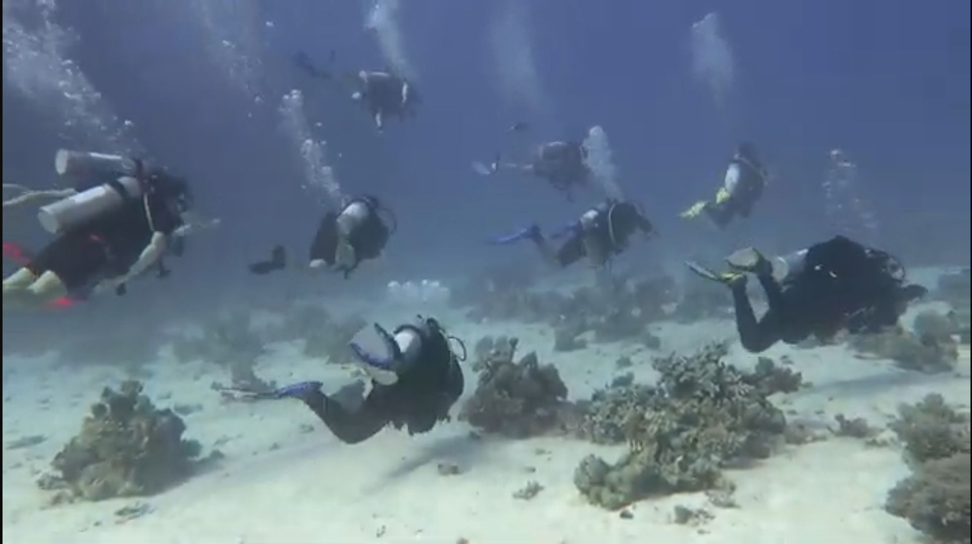 VIP diving Sahl Hasheesh