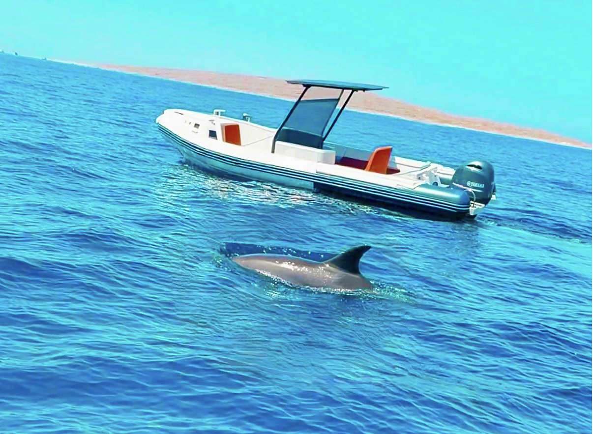 Private White Island + Dolphin House with speedboat (4-7 people)